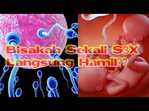 Video: Seberapa Cepat Konsepsi Anak Terjadi?