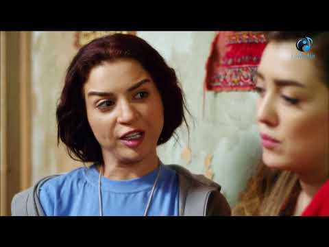 عارفة يبت انتي بقيتي زي الجموسه اللي كترت سككينها