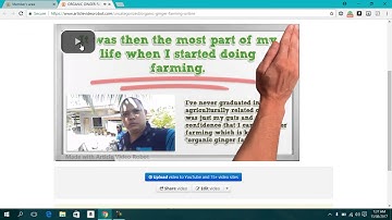 Sample Video Created from Article Video Robot