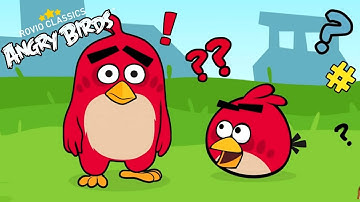 Rovio Classics: Angry Birds Android Gameplay Walkthrough Episode 1