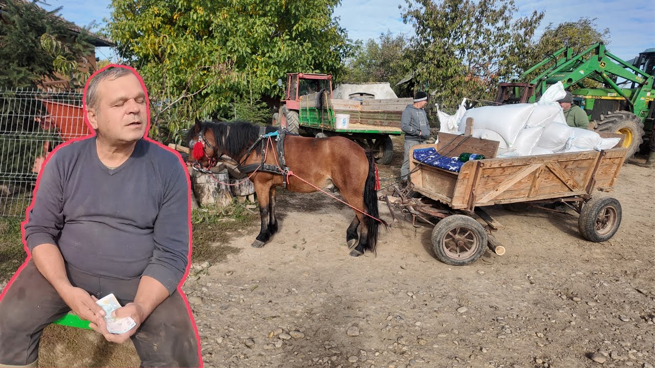 MAJDNEM EL ÜTÖTTEK A ZEBRÁN😱