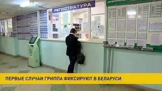 Первые случаи гриппа зафиксированы в Беларуси в 2019 году Первые случаи гриппа зафиксированы в Беларуси в 2019 году