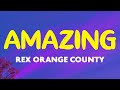 Rex Orange County - AMAZING (Lyrics) | Who