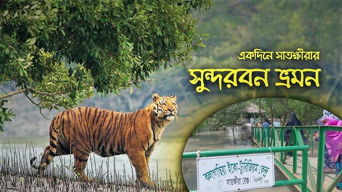 Sperma bilan toldirilgan mushuk