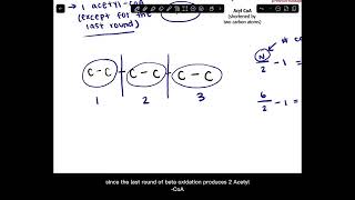 BCMB 3100 Calculating Net ATP Production From Beta Oxidation