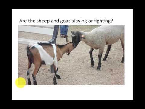 Learn English Vocabulary On the Farm