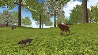 Online Cat Simulator Animal life Kitty Pet Android Gameplay #6 Cat Vs Rat | Dishoomgameplay screenshot 1