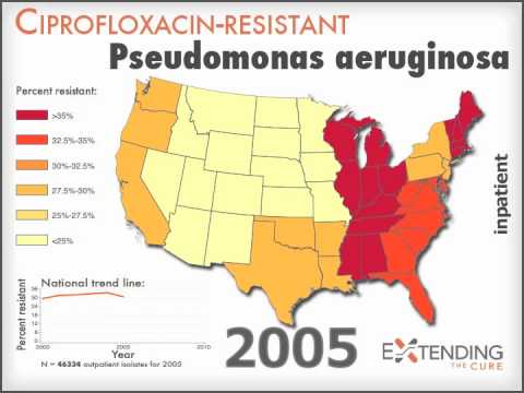 Pseudomonas aeruginosa resistant to cipro Pseudomonas aeruginosa resistant to cipro