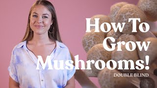 How to Grow Mushrooms | DoubleBlind