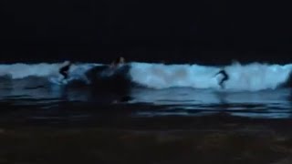 Amazing bright glowing blue waves on a full moon night at venice
beach, california. bioluminescence plankton brings waves. i have never
seen thi...