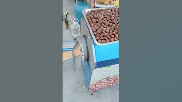 Gas nut roasting machine, China factory roasting,wholesale,China Supplier,Chestnut roaster