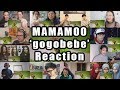 [MV] MAMAMOO(마마무) _ gogobebe(고고베베) "Reaction Mashup"