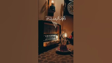 فستذكرون ما اقول لكم | #قرآن #quran #راحة_نفسية #ارح_قلبك #تلاوات #فلسطين #foryou #خالد_الجليل #fyp