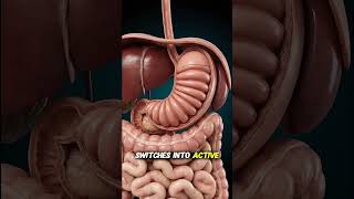 What Protein Shakes REALLY Do To Your Body 🥤💀