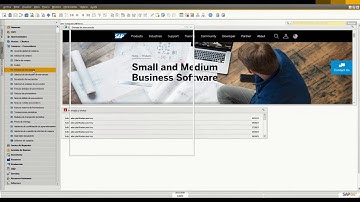 Solicitud de Compras SAP Business One