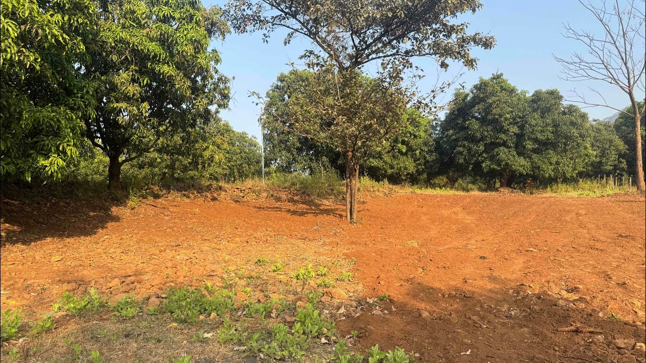 Mango farm for sale near Khopoli jambhulpada 8788035368 
