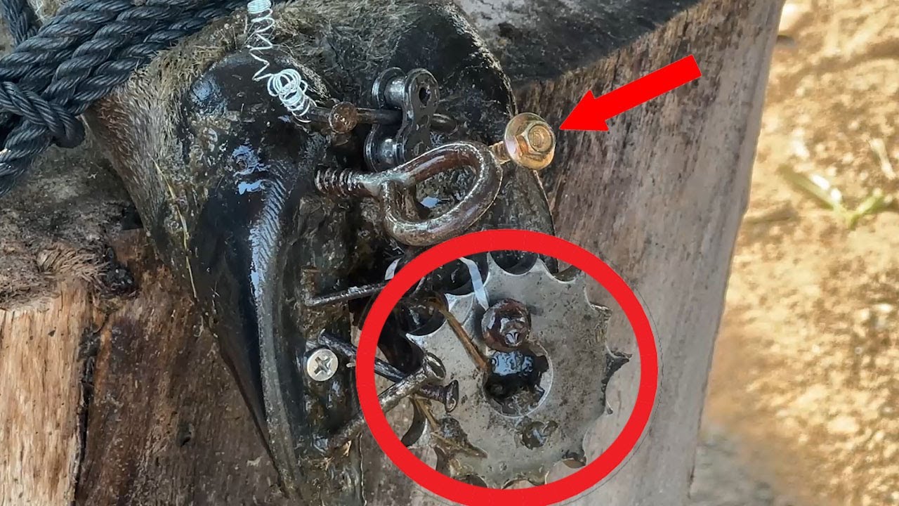 COW FOOT CUTTING - Cutting, trimming, cleaning and removing metal from cow's hooves #