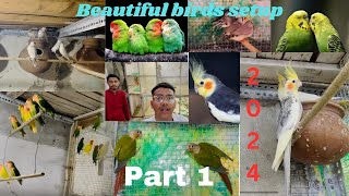 Birds setup of Mohd Salim || Sambhal ||Pets  #bird #petslover #petsvlog