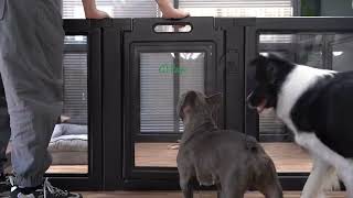 FXW AuraSpace Acrylic Indoor Dog Playpen