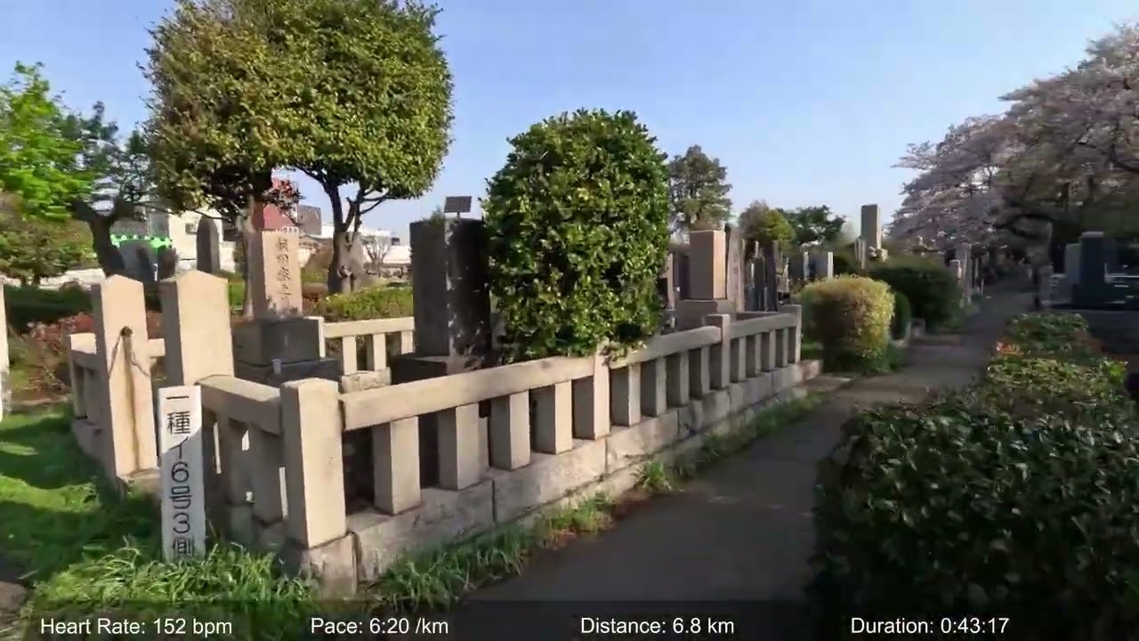 Aliquam beatae pariatur earum blanditiis dolor 34576