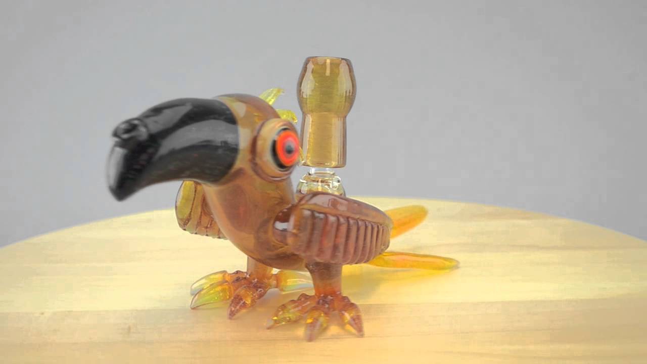 RJ Glass Bird Rig - Macaw
