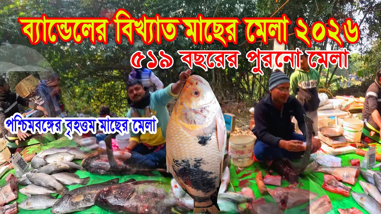 কেষ্টপুর মাছের মেলা 2026||  Bandel Macher Mela |519 বছরের মেলা Biggest fish Mela in west Bengal