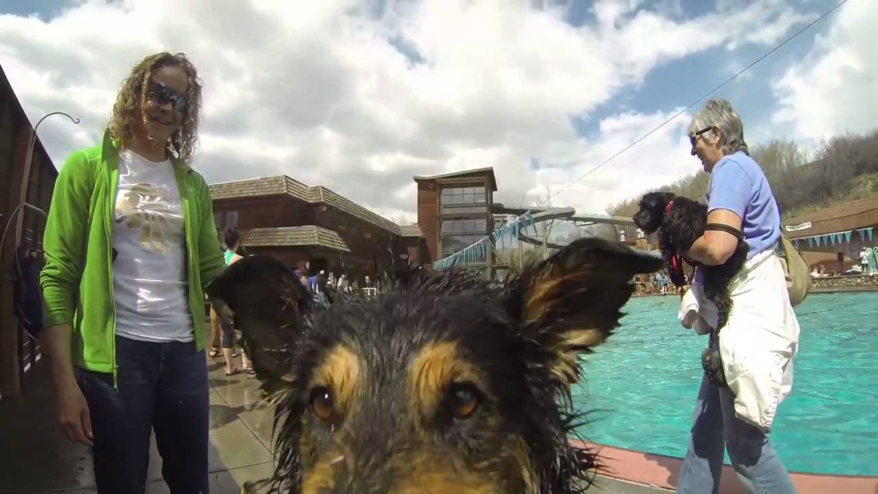 Poochey Paddle at Old Town Hot Springs