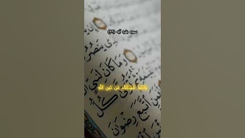 سوره بقره آیه ۲۳ و ۲۴ #قرآن_کریم#دوستت_دارم_خدا#خدا #الهی_شکر#قرآن_حياتي#ترجمه_قرآن