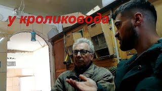 Кролик и рассказ о содержание  в гостях у кроликовода 1ч.