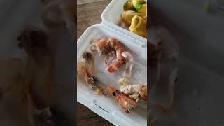 Thức ăn có dòi ở trường mầm non #keolive #tintuc #tinnong24h #news #thoisu