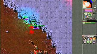 Tibia PvP / PK ( Tibia OT)