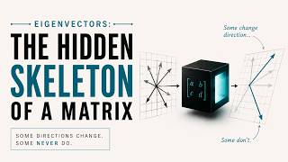 Eigenvectors: The Hidden Skeleton of a Matrix