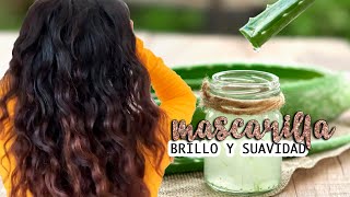 🌱 MASCARILLA de ALOE (SÁBILA) el CABELLO SECO TEÑIDO MALTRATADO - YouTube