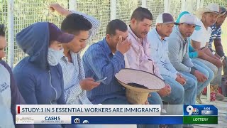 1 in 5 Essential Workers are Immigrants