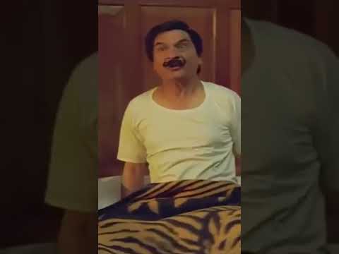 Asrani Ka Mazedaar Comedy Scene Shera Asrani Comedy Shorts 