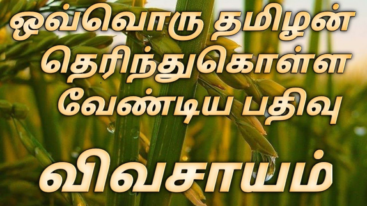 விவசாயம் 🤩வரலாறு 🧐தமிழன் 😎அனைவரும்🥳 பார்க்க வேண்டும்😎W̶A̶T̶C̶H̶ F̶U̶L̶L̶Y̶🧐