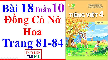 Tiếng Việt Lớp 4 Bài 18 Tuần 10 | Đồng Cỏ Nở Hoa | Trang 81 - 84 | Kết Nối Tri Thức