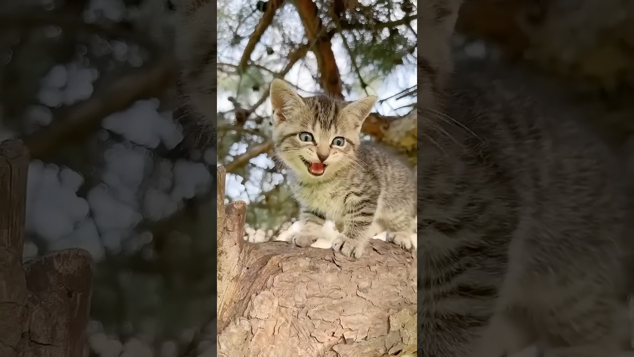 New Cool Tool!🥰 New Viral Gadgets, Smart Kichen Appliances, Tolls, Utensils, HomeCleaning 