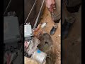 Hyundai Sonata 2014 Electric power steering noise fixed.