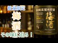 【山崎蒸留所貯蔵】スモーキー梅酒！！【美味い】