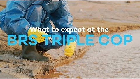 What to Expect at the BRS Triple COP