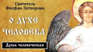 Дух - высшая часть человеческой души ☦️ Феофан Затворник @SpasenieVoHriste