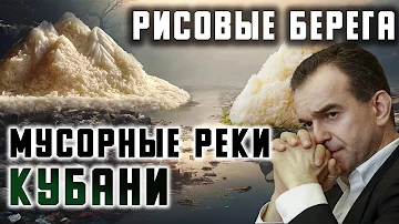 РИСОВЫЕ берега и МУСОРНЫЕ реки Кубани / Губернатор приехал на свалку!