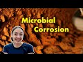 Microbial Corrosion Quiz