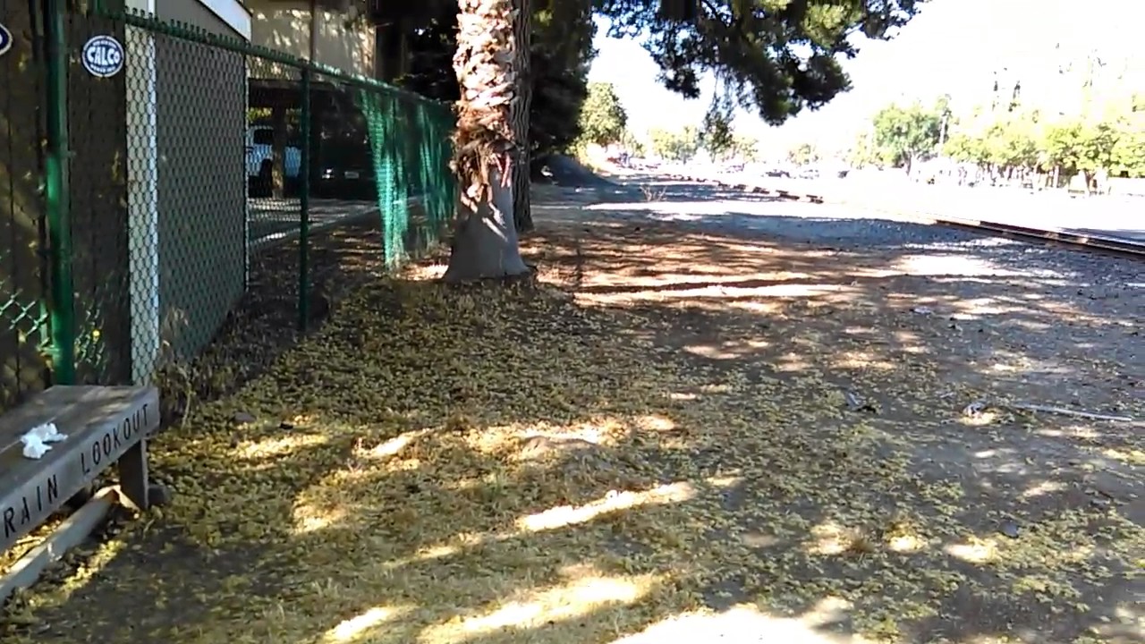 Up 5264 shuttle going through pleasanton