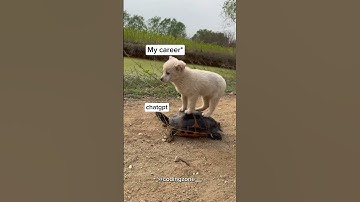 How Much I Depend On Chatgpt 😅| Coding | Coderslife   #selfmotivation  #coder #codingzone #trending