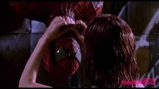 ►Spiderman (2002) | Peter Parker & Mary Jane Watson
