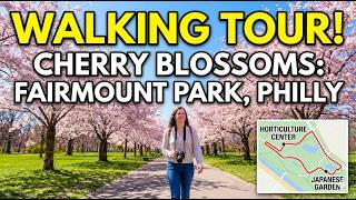 Fairmount Park Cherry 🌸 Blossoms | Philadelphia Walking Tour (Horticulture Center &amp; Japanese Garden)