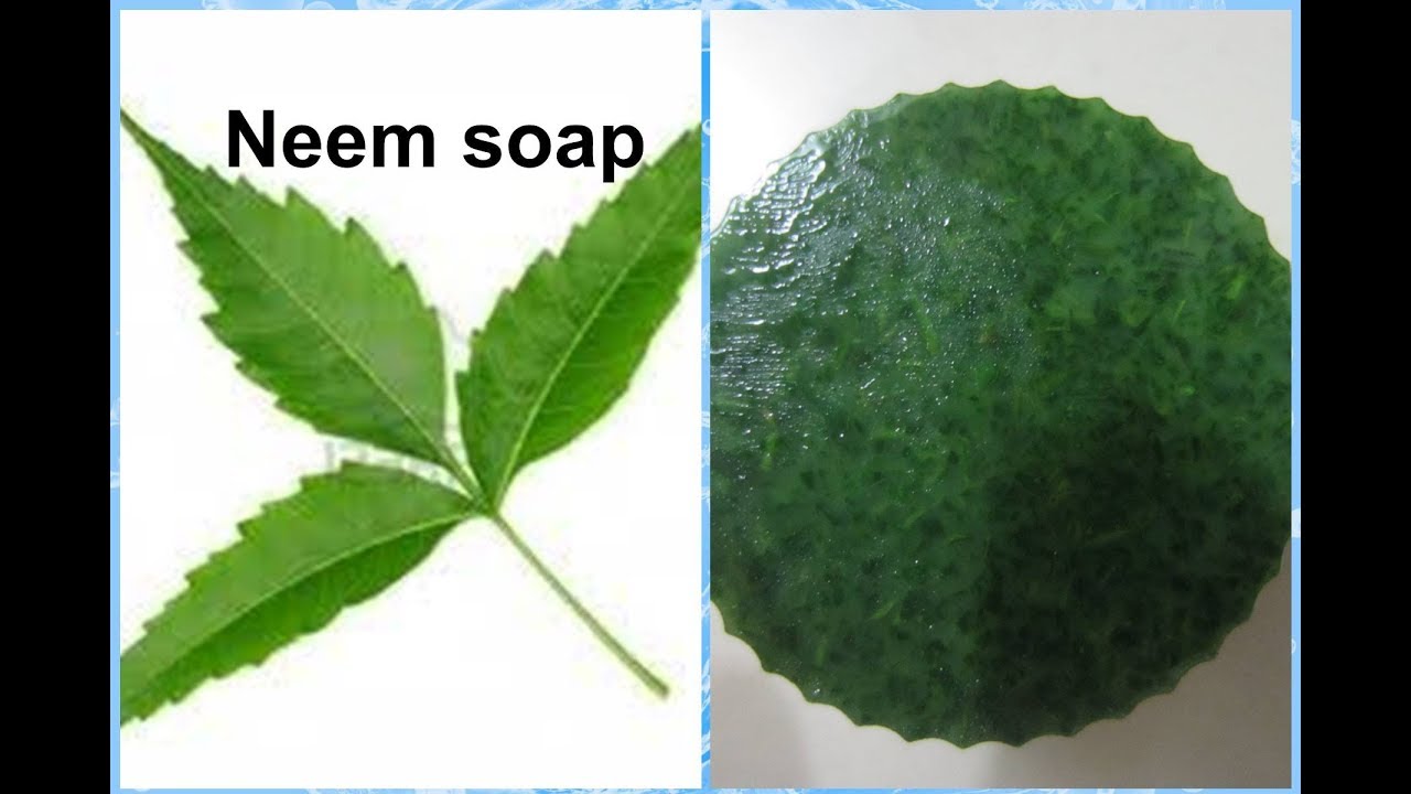 How to prepare neem soap YouTube