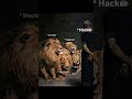Hacker on fire 🔥🔥🔥🔥